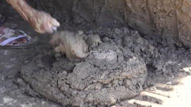 Afrika 'nın doğusundaki Tanzanya' daki Zanzibar adasına beton harçla duvar ören Afrikalı erkek işçi.
