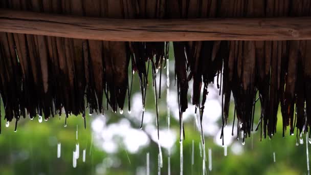 Tropischer Sommerregen Große Regentropfen Fallen Auf Strohdächer Garten Auf Der — Stockvideo