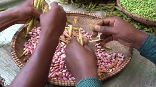 在坦桑尼亚桑给巴尔岛的一个当地市场上 两名非洲男子正在剥豆子 — 图库视频影像