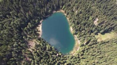 Yoğun kozalaklı ve kayın ormanlarıyla çevrili dağ gölü manzarası. Karadağ, Avrupa. Karadağ 'da ona Zabojsko Jezero diyorlar ve 1481 metre yüksekliğe sahip.