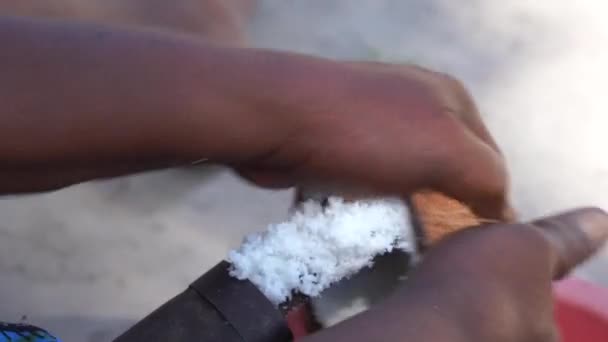 在坦桑尼亚桑给巴尔岛的一个热带庭院里 用一种特制的椰子工具为家中的椰子准备椰子片 — 图库视频影像