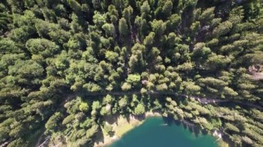 Yoğun kozalaklı ve kayın ormanlarıyla çevrili dağ gölü manzarası. Karadağ, Avrupa. Karadağ 'da ona Zabojsko Jezero diyorlar ve 1481 metre yüksekliğe sahip.