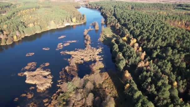 Літаючи Над Спокійним Озером Зеленим Лісом Болотом Україною Європою Осінній — стокове відео