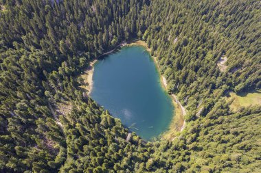 Yoğun kozalaklı ve kayın ormanlarıyla çevrili dağ gölü manzarası. Karadağ, Avrupa. Karadağ 'da ona Zabojsko Jezero diyorlar ve 1481 metre yüksekliğe sahip.