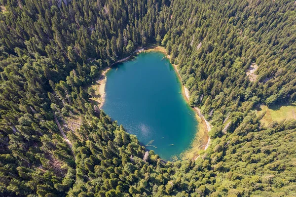 Vista Aérea Del Lago Montaña Rodeado Densos Bosques Coníferas Hayas — Foto de Stock