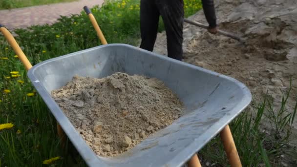 Worker Using Shovel Pours Sand Wheelbarrow Garden Close Man Shovel — Vídeo de stock