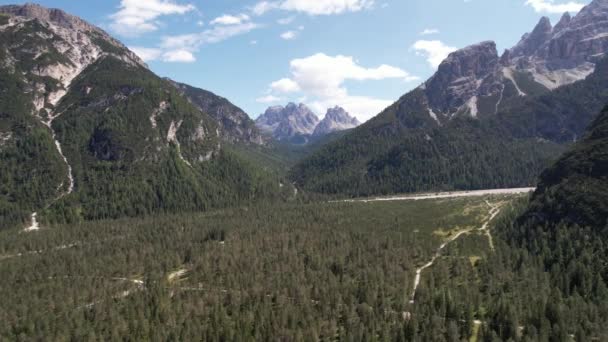 Vista Aérea Floresta Montanhas Verdes Dolomites Itália Viagem Conceito Natureza — Vídeo de Stock