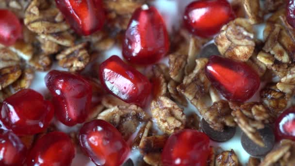 Yulaf Ezmeli Granola Kurutulmuş Meyve Bal Kuru Üzüm Çikolata Parçacıkları — Stok video