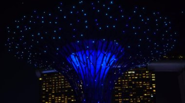 Singapur şehri, Singapur - 27 Şubat 2020: Singapur 'da gece görüşü sırasında Marina Körfezi Kumları' nın yanındaki Gardens 'ta süper ağaçlar. Garden, Singapur 'un merkezinde bir doğa parkı.