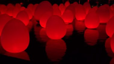 Singapur şehri, Singapur - 27 Şubat 2020: Singapur 'da gece gösteriminde Marina Körfezi Kumları' ndaki bahçelerde Dragonfly Gölü 'nde renkli parlayan yumurtalar