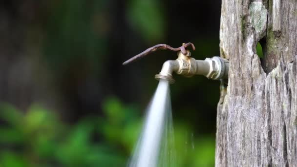 古い木の背景のタップから水を実行しています 熱帯の島での水の消費と使用の概念 ボルネオ島 マレーシア 閉じろ — ストック動画