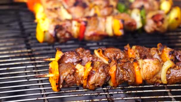 Grilled Meat Vegetable Wooden Skewers Close — Stock Video