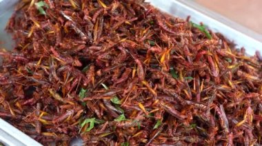 Tayland 'da sokak gıda pazarında satılacak kızarmış çekirgeler. Kızarmış böcek, Tayland mutfağı. Çıtır çıtır olana kadar kızartılır ve protein açısından zengin bir atıştırmalık olarak yenir.