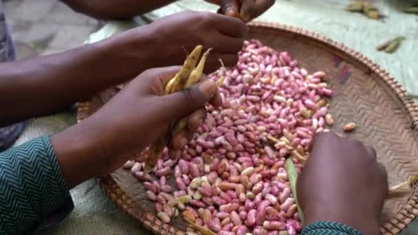 在坦桑尼亚桑给巴尔岛的一个当地市场上 两名非洲男子正在剥豆子 — 图库视频影像