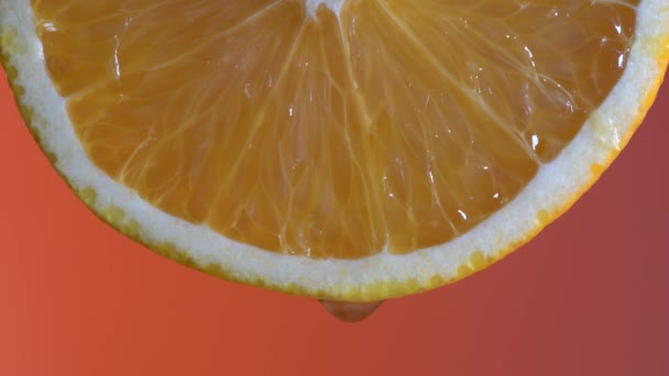 Fresh Orange Slice Water Drop Macro Close Bright Juicy Citrus — Video Stock