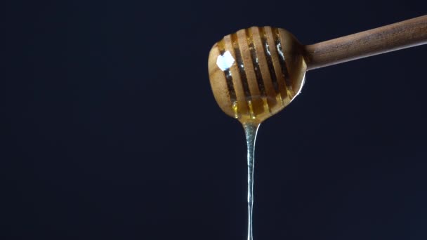 木棍加蜂蜜作蜂蜜 浓密的蜂蜜滴了下来 从蜂蜜勺流下来 一滴一滴 在黑色的背景上 关上了 — 图库视频影像