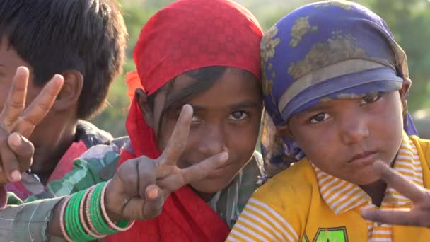 Pushkar India Listopad 2018 Indyjskie Dzieci Pustyni Thar Time Pushkar — Wideo stockowe