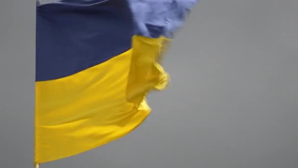 Bandera Ucrania Ondeando Viento Fondo Del Cielo Cerca Color Nacional — Vídeo de stock