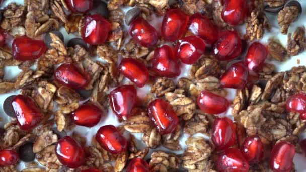 Granola Con Farina Avena Frutta Secca Miele Uvetta Gocce Cioccolato — Video Stock