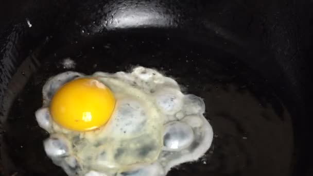 Huevo Frito Una Sartén Con Sonido Huevo Roto Cae Sartén — Vídeo de stock