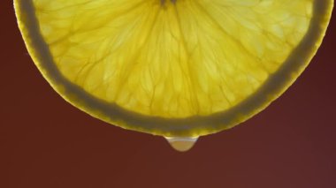 Taze portakal dilimi ve kırmızı arka planda su damlası, makro, kapat. Parlak sulu narenciye posası yakından. Sağlıklı yaşam tarzı, vitaminler, düzgün beslenme, diyet, yaz, taze meyve suyu kavramları