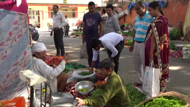 Jaipur India November 2018 Food Trader Selling Vegetables Street Market — Wideo stockowe