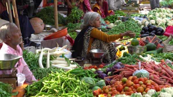 Jaipur India November 2018 Food Trader Selling Vegetables Street Market — Stock Video