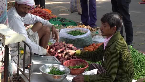 Jaipur India November 2018 Food Trader Selling Vegetables Street Market — Stock Video