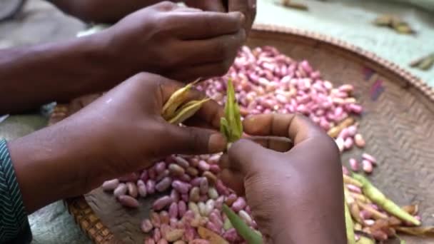 タンザニア東アフリカのザンジバル島の地元市場で豆の皮をむく2人のアフリカ人男性の手を閉じる — ストック動画