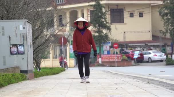 ベトナム 2020年3月4日 北ベトナムサパの通りにあるわら帽子の民族モン族の老女 — ストック動画