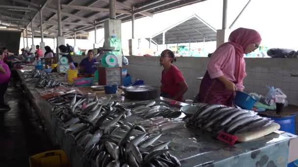 Kota Kinabalu Malaysia February 2020 Street Scene Business Activity Buying — Video