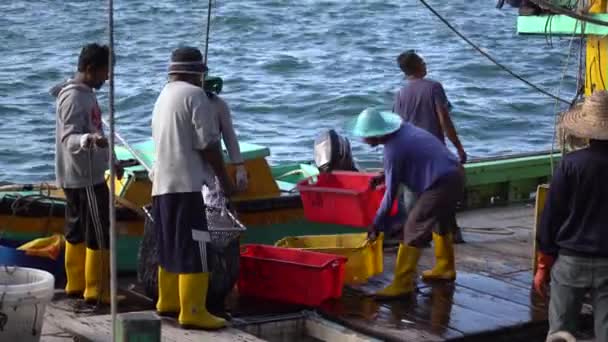 Kota Kinabalu Malezja Luty 2020 Malezyjscy Rybacy Ładują Świeżo Złowione — Wideo stockowe