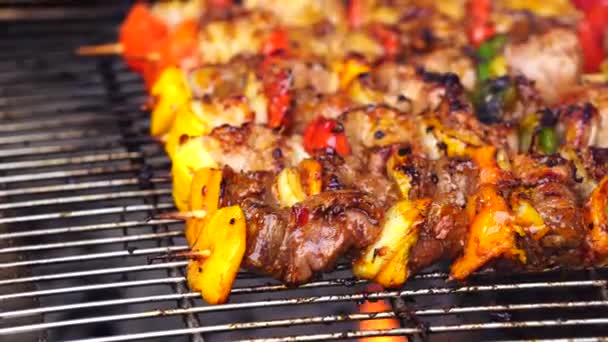 木制绞架上烤的肉和蔬菜关门了 — 图库视频影像