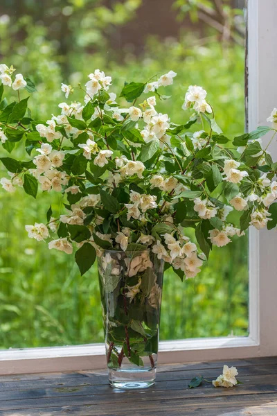 Vacker Bukett Jasmin Blommor Fönsterbrädan Hemma Sommaren Dag Nära Trädgården — Stockfoto