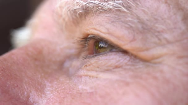 Zbliżenie Oko Kaukaski Starzec Portret Staruszka Zewnątrz Kaukaski Mężczyzna Twarz — Wideo stockowe