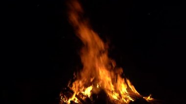 Şenlik ateşi geceleri ağaçları yakıyor. Şenlik ateşi parlak, ısı, ışık, kamp ateşi, büyük şenlik ateşi kamp ateşi, kamp ateşi, yakacak odun, turuncu ateş ve duman yakın