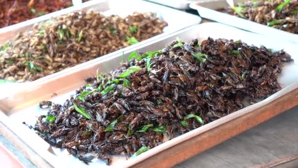 Saltamontes Fritos Para Vender Mercado Callejero Alimentos Tailandia Insecto Frito — Vídeo de stock