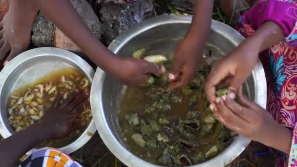 Młode Afrykańskie Dziewczyny Wyjmują Małże Muszli Ulicy Pobliżu Domu Wyspie — Wideo stockowe