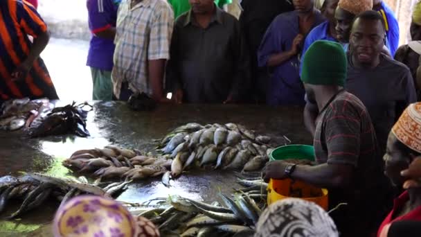 Zanzibar Tanzanie Listopad 2019 Afričané Prodávají Čerstvé Mořské Ryby Místní — Stock video