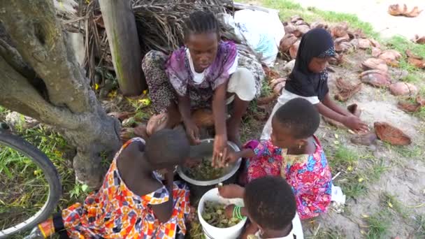 Zanzibar Tanzanya Aralık 2019 Genç Afrikalı Kızlar Doğu Afrika Daki — Stok video