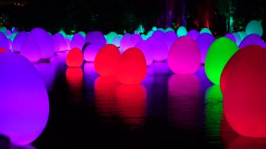 Singapur şehri, Singapur - 27 Şubat 2020: Singapur 'da gece gösteriminde Marina Körfezi Kumları' ndaki bahçelerde Dragonfly Gölü 'nde renkli parlayan yumurtalar