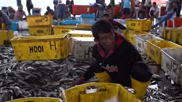 Kota Kinabalu Malesia Febbraio 2020 Lavoratori Malesi Selezionano Catture Pesce — Video Stock