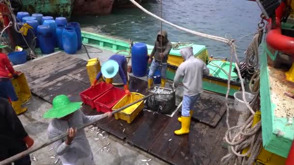 Kota Kinabalu Malesia Febbraio 2020 Pescatori Malesi Caricano Pesce Appena — Video Stock