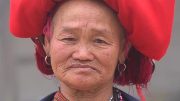 Sapa Vietnam March 2020 Hmong Ethnic Woman Traditional Dress Street — Stock Video