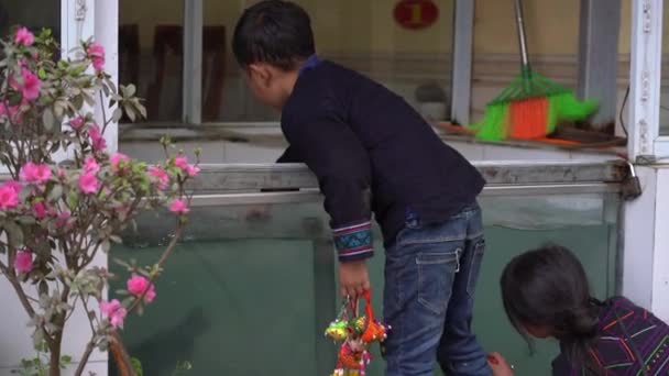 Sapa Vietnam Marzo 2020 Niños Pequeños Juegan Peces Vivos Acuario — Vídeos de Stock