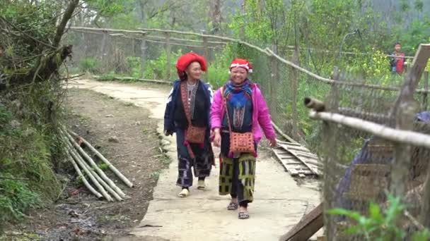 Sapa Vietnam Maart 2020 Twee Etnische Hmongvrouwen Traditionele Kleding Straat — Stockvideo