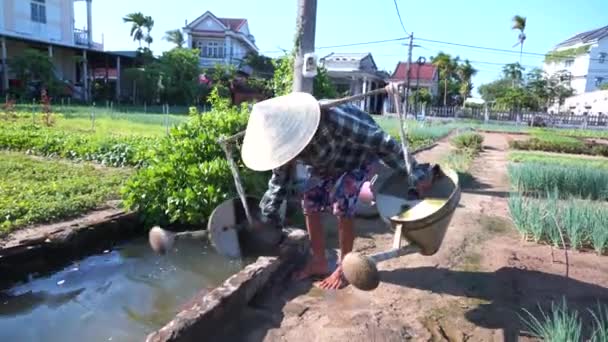 Хойан Вьетнам Июля 2020 Года Вьетнамская Старуха Черпает Воду Своего — стоковое видео