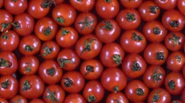 Kırmızı vişneli domates arka planı, domatesi kapat, dönüşümlü 4k 'lık üst görünüm. Yemek arkaplanı. Gastronomi konsepti, organik gıda. Makro kırmızı domates