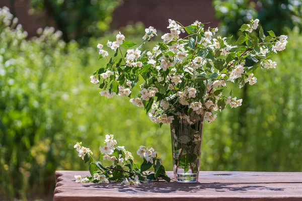 Vacker Bukett Med Jasmine Grenar Ett Träbord Trädgården Närbild — Stockfoto