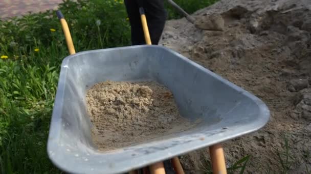 Arbetare Som Använder Spade Häller Sand Skottkärra Nära Trädgården Närbild — Stockvideo